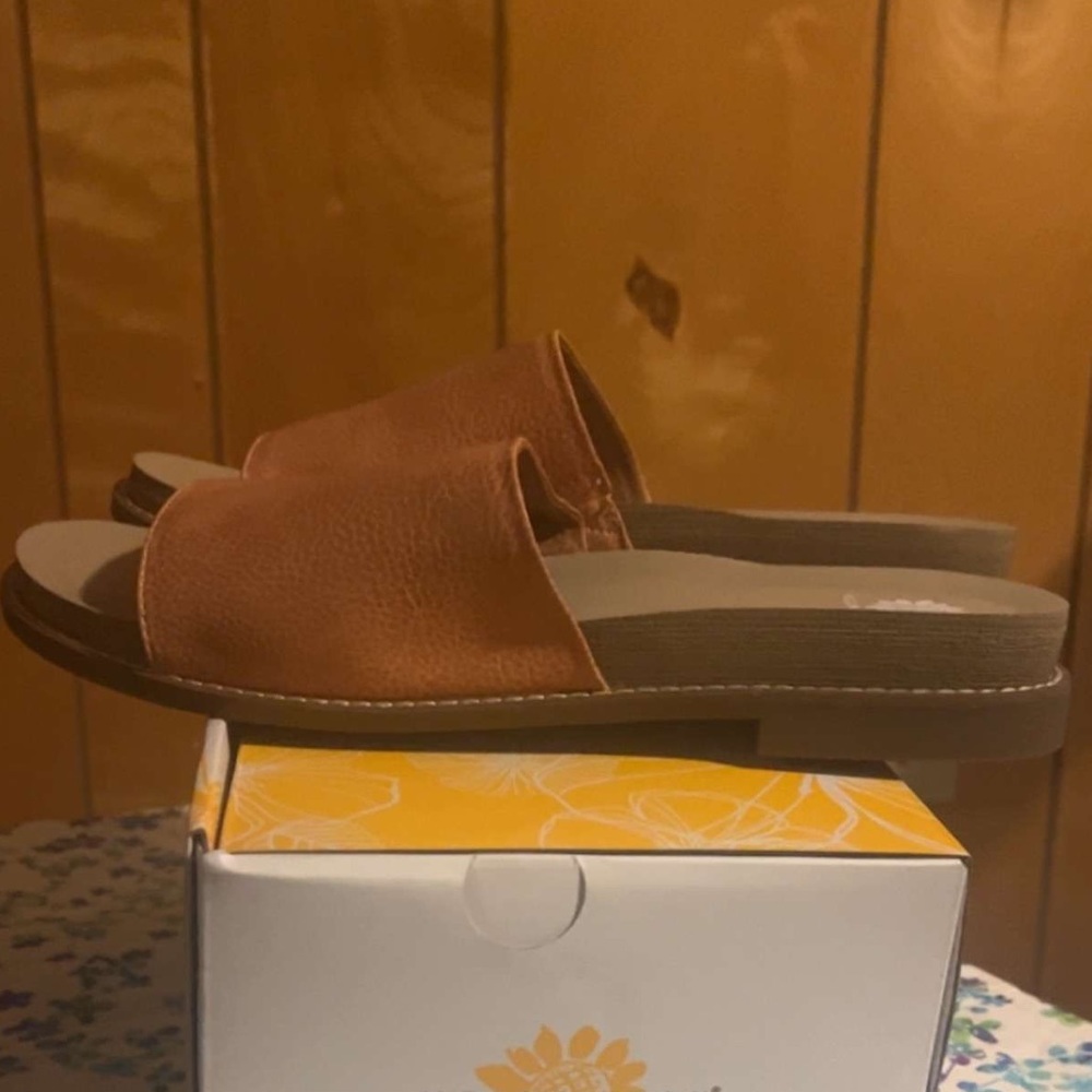 Yellow box brown Sandles